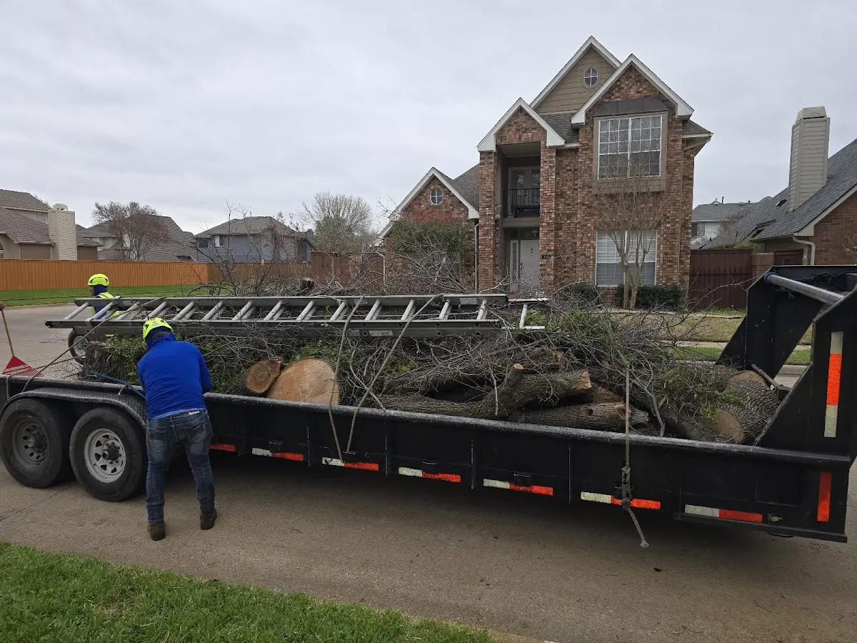 Expert Tree Fertilization with proper safety equipment in Marlinton